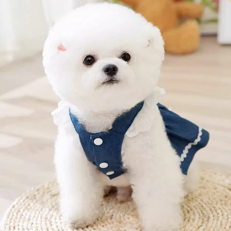 Dog Jeans Dress Strawberry Print Lace Cute Pet Dog Clothes Chihuahua Bichon Frise Summer Puppy Skirt Cat Dog Costume with Buckle