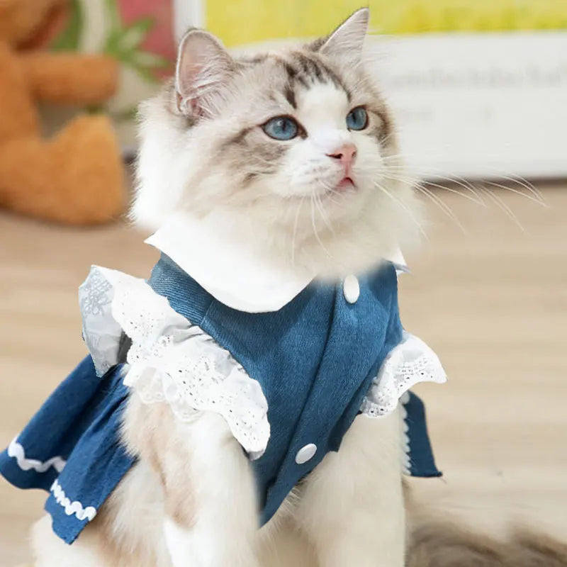 Dog Jeans Dress Strawberry Print Lace Cute Pet Dog Clothes Chihuahua Bichon Frise Summer Puppy Skirt Cat Dog Costume with Buckle