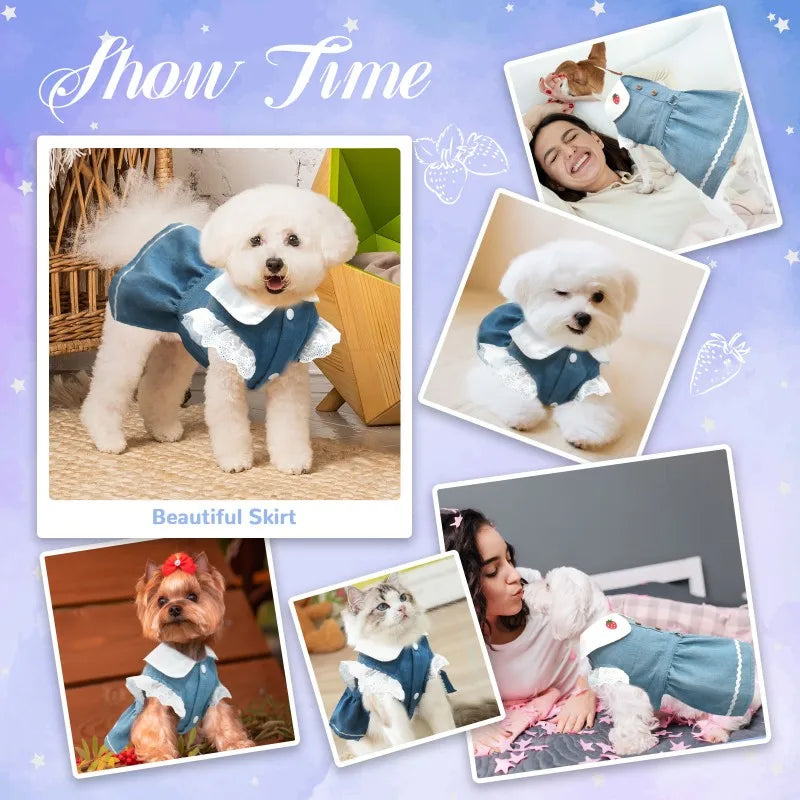 Dog Jeans Dress Strawberry Print Lace Cute Pet Dog Clothes Chihuahua Bichon Frise Summer Puppy Skirt Cat Dog Costume with Buckle