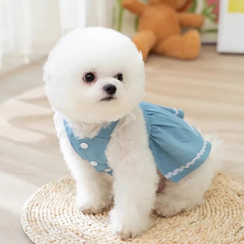 Dog Jeans Dress Strawberry Print Lace Cute Pet Dog Clothes Chihuahua Bichon Frise Summer Puppy Skirt Cat Dog Costume with Buckle