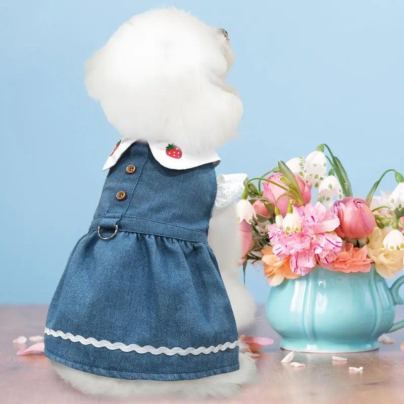 Dog Jeans Dress Strawberry Print Lace Cute Pet Dog Clothes Chihuahua Bichon Frise Summer Puppy Skirt Cat Dog Costume with Buckle