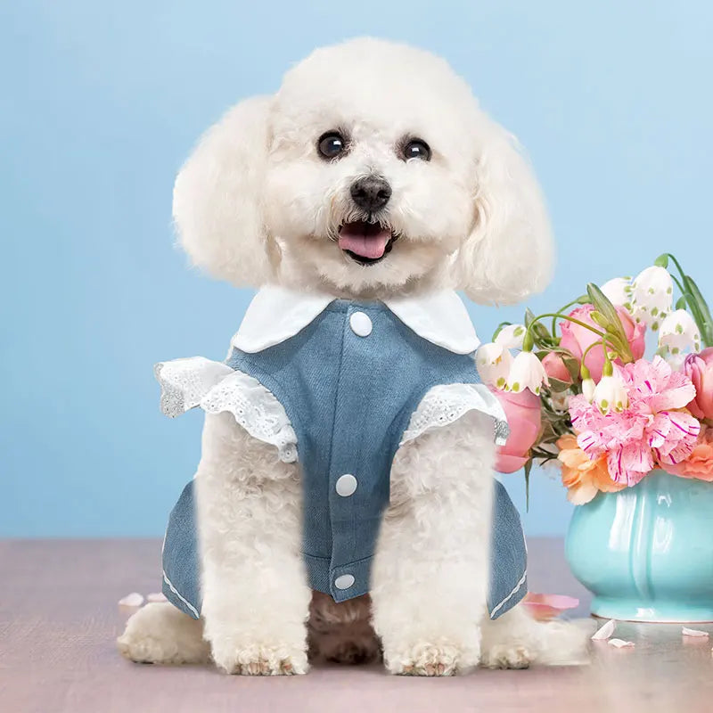 Dog Jeans Dress Strawberry Print Lace Cute Pet Dog Clothes Chihuahua Bichon Frise Summer Puppy Skirt Cat Dog Costume with Buckle
