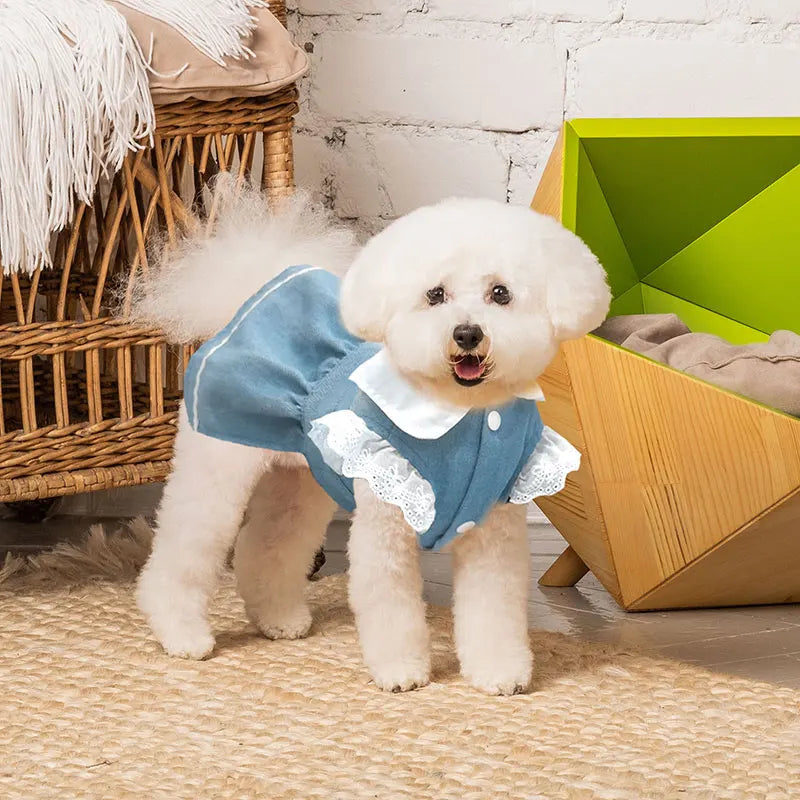 Dog Jeans Dress Strawberry Print Lace Cute Pet Dog Clothes Chihuahua Bichon Frise Summer Puppy Skirt Cat Dog Costume with Buckle