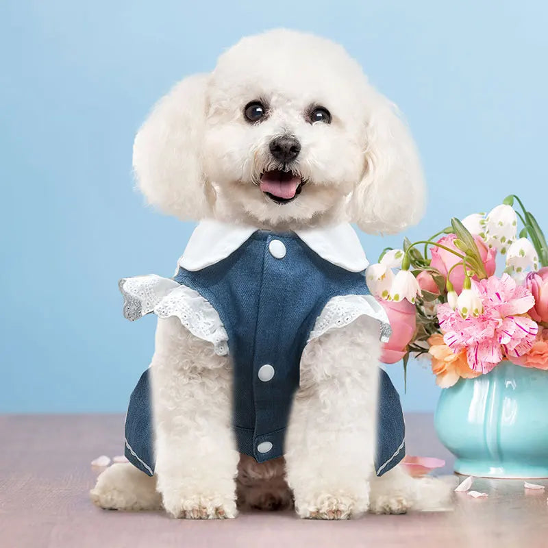 Dog Jeans Dress Strawberry Print Lace Cute Pet Dog Clothes Chihuahua Bichon Frise Summer Puppy Skirt Cat Dog Costume with Buckle