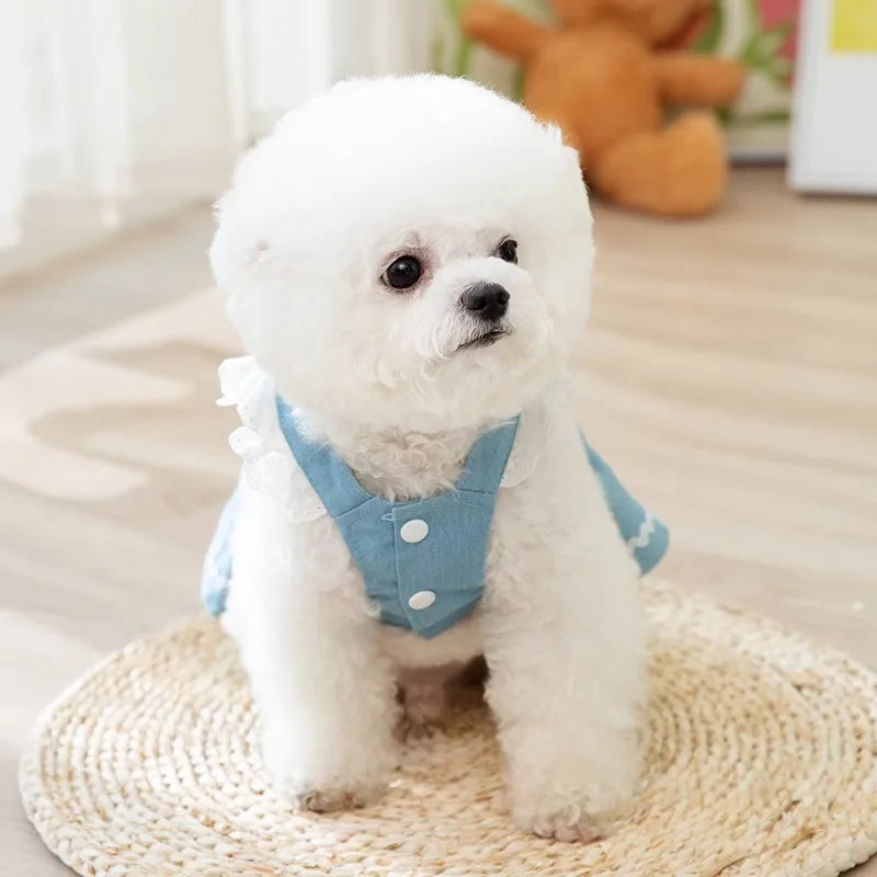 Dog Jeans Dress Strawberry Print Lace Cute Pet Dog Clothes Chihuahua Bichon Frise Summer Puppy Skirt Cat Dog Costume with Buckle