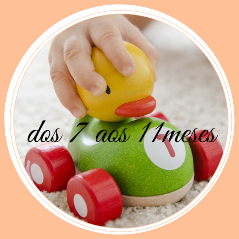 Bebés de 6 a 12 meses