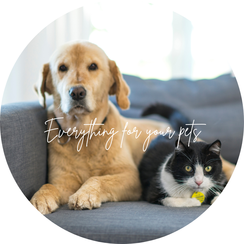 Everything for pets