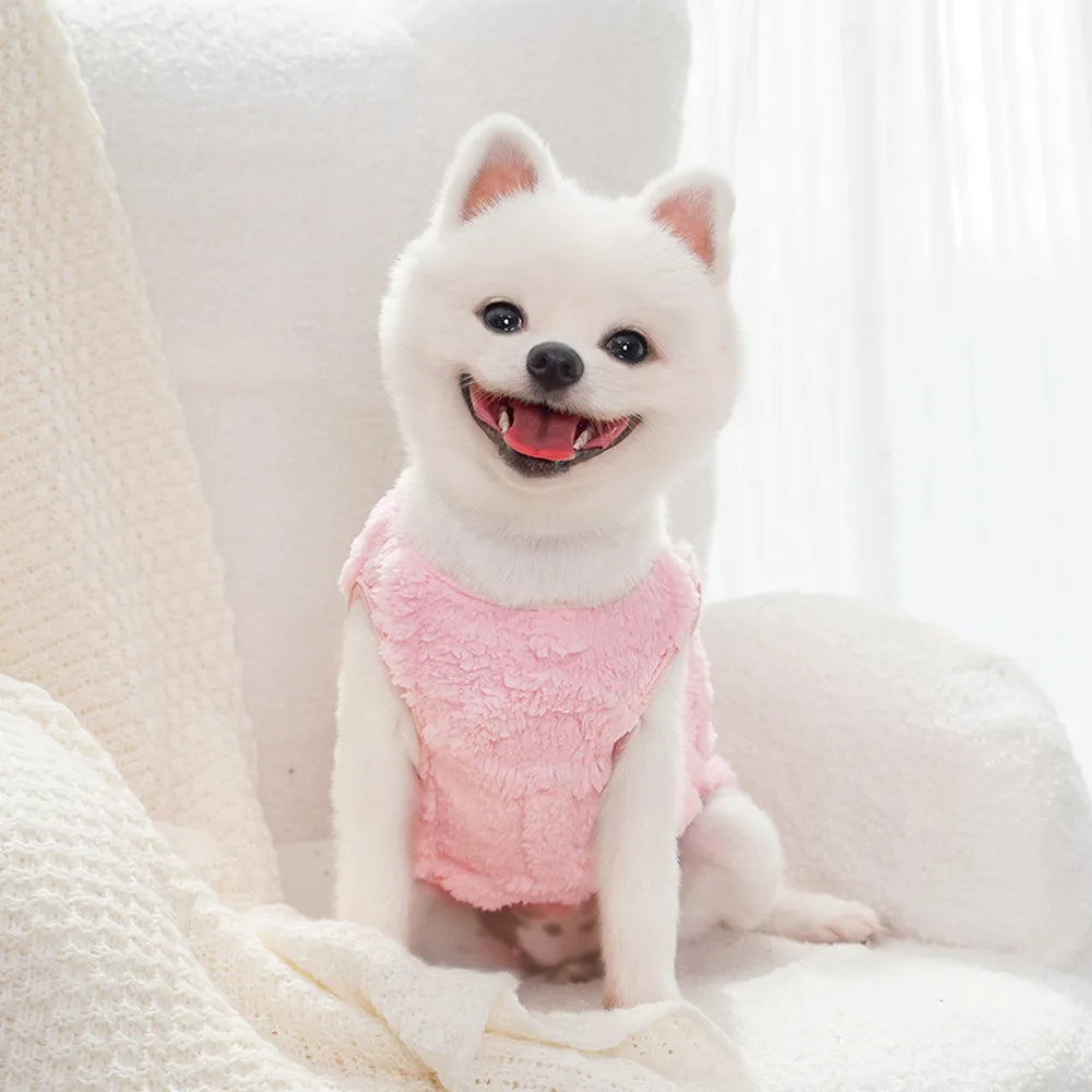Dog Clothes Winter Teddy Bear Pomeranian Small Dog Pet Autumn and Winter Plush Traction Velvet Clothes Cat Supplies Puppy