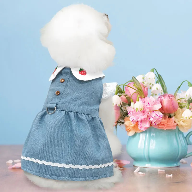 Dog Jeans Dress Strawberry Print Lace Cute Pet Dog Clothes Chihuahua Bichon Frise Summer Puppy Skirt Cat Dog Costume with Buckle