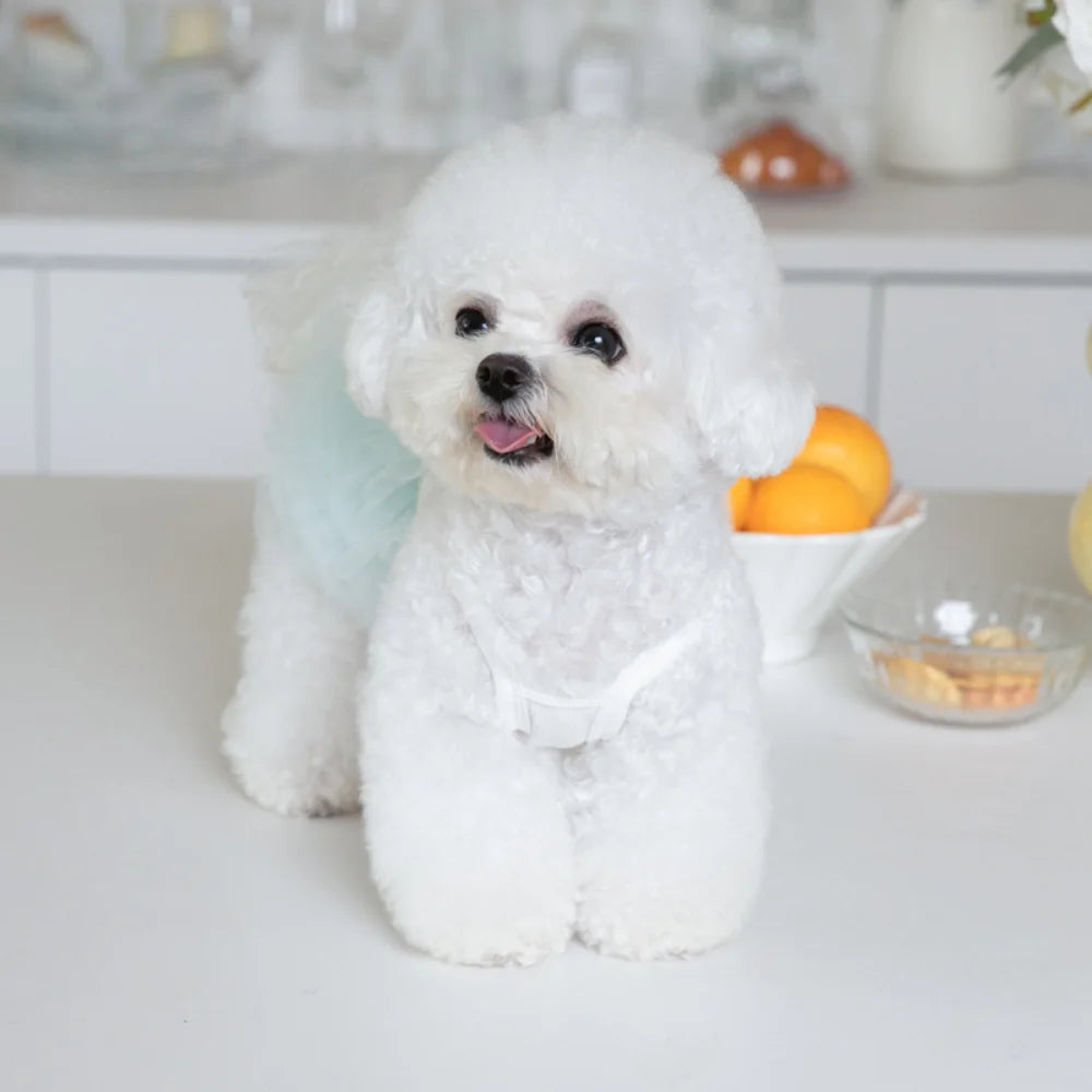 Pet Mesh Suspender Puffy Skirt Layer By Layer Tutu Skirt Pet Dog Teddy Skirt Pet Clothing Puppy Clothes Clothes for Small Dogs