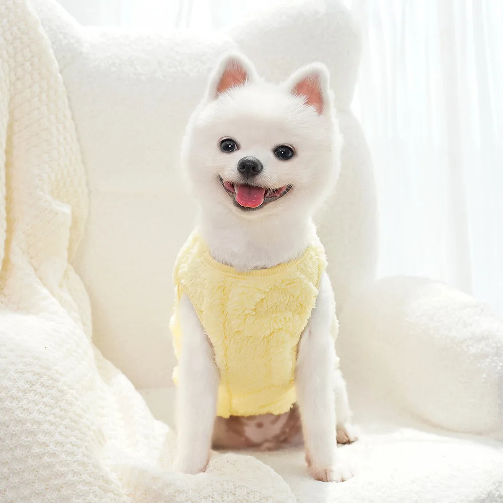 Dog Clothes Winter Teddy Bear Pomeranian Small Dog Pet Autumn and Winter Plush Traction Velvet Clothes Cat Supplies Puppy