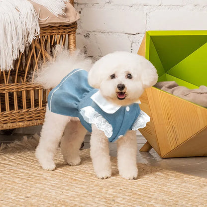 Dog Jeans Dress Strawberry Print Lace Cute Pet Dog Clothes Chihuahua Bichon Frise Summer Puppy Skirt Cat Dog Costume with Buckle